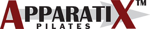 apparatix logo for web